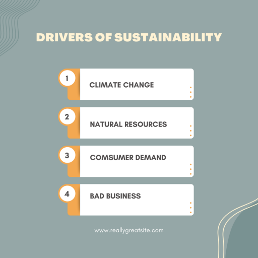drivers of sustainability  1  png