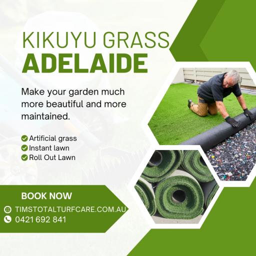 Kikuyu Grass Adelaide jpg