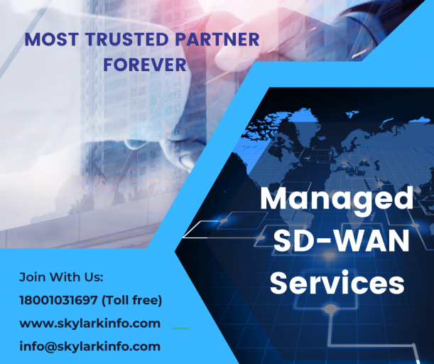 Managed SD WAN Services png