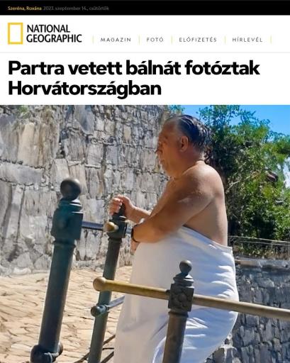 Orbán terhes jpg