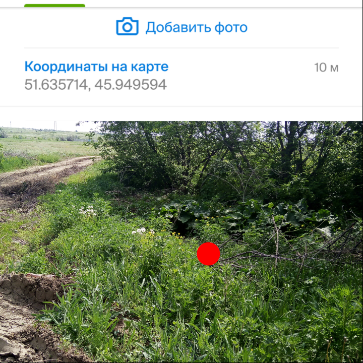 Deposit pictures p. Координаты закладок с фотографиями. Фотографии с координатами GPS. Скрины координаты закладок. Фото с координатами на андроид.