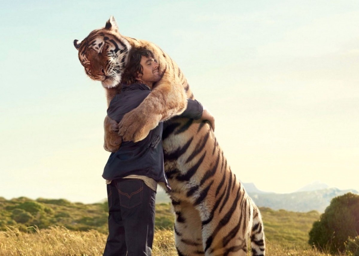 Тигр и собака мужчина. Обнимает тигра. Объятия с тигром. Лев обнимает человека.