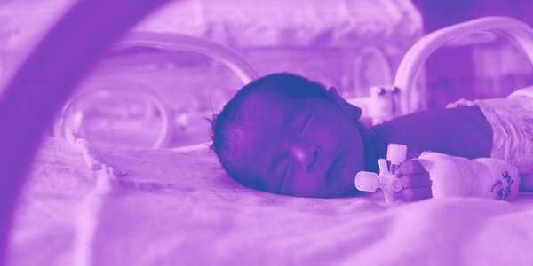 Why Are Toxic Phthalates Still Used in Medical Supplies for Premature Babies?…