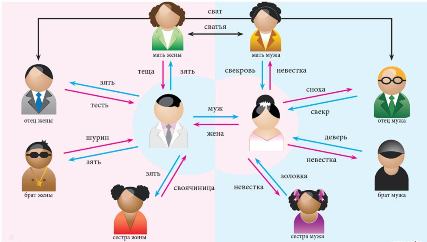 Родственники кто кем приходится схема. Сестра жены для мужа кем приходится. Схема родственных отношений в семье. Жена родного брата кем приходится.