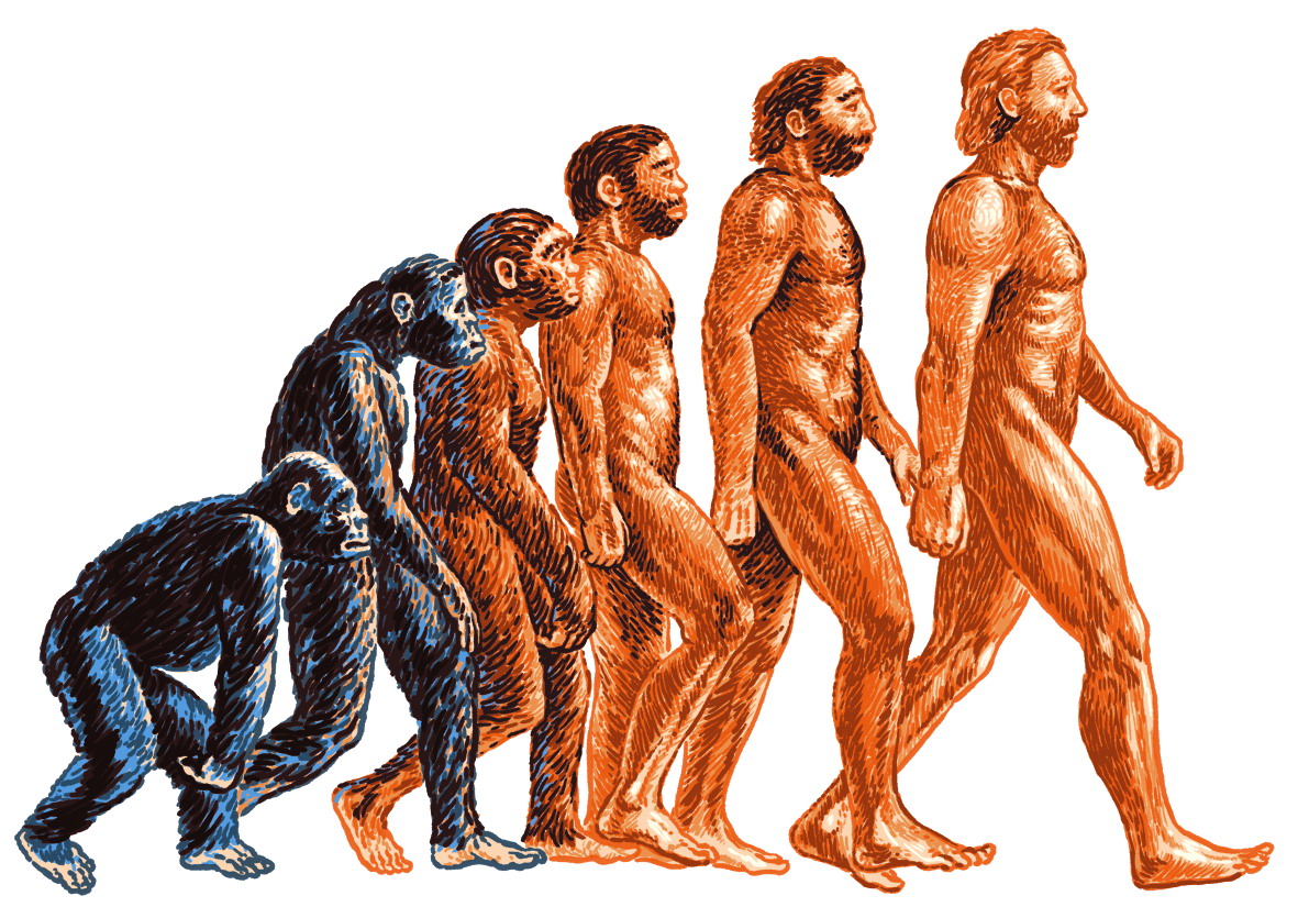 Чарльз Дарвин теория эволюции человека