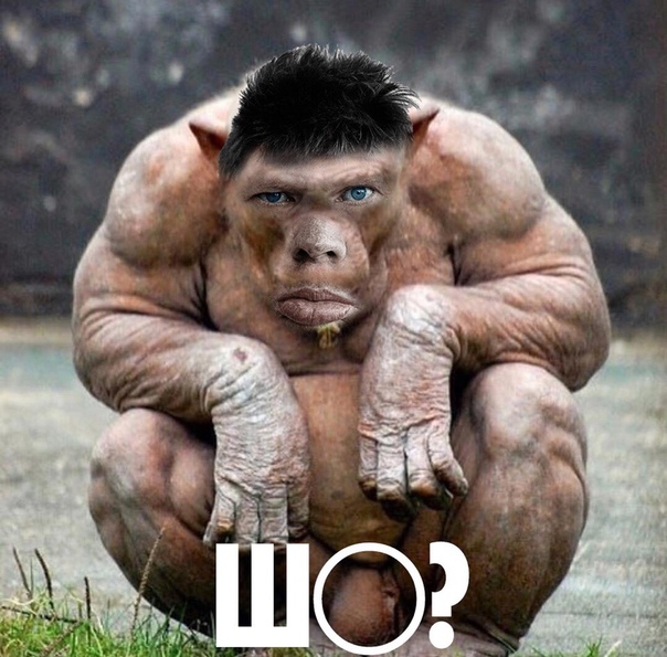 Жмых мемы картинки