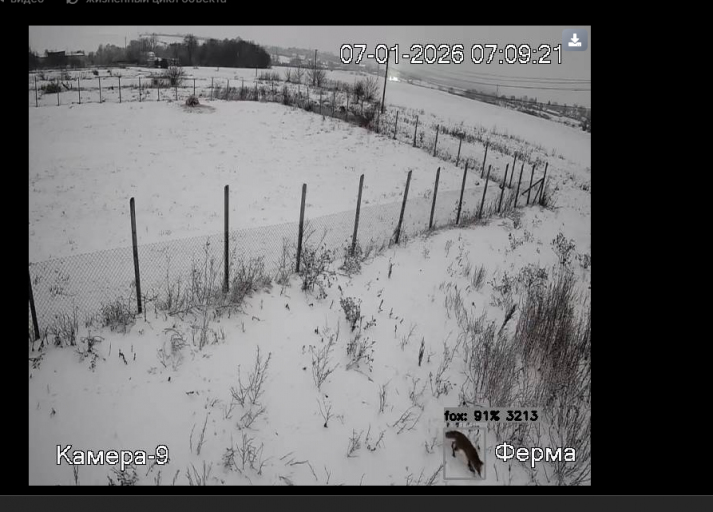 2026 01 07 14 10 06 png