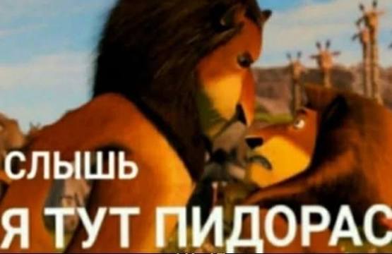 images  79  jpeg