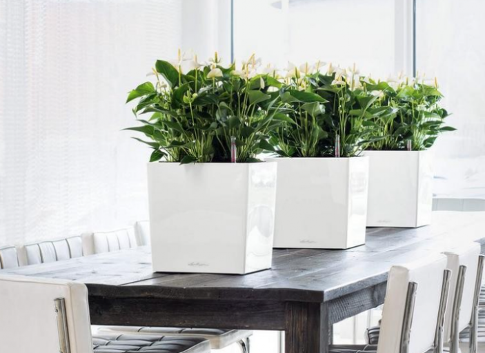 2025 12 03 19 38 01 png