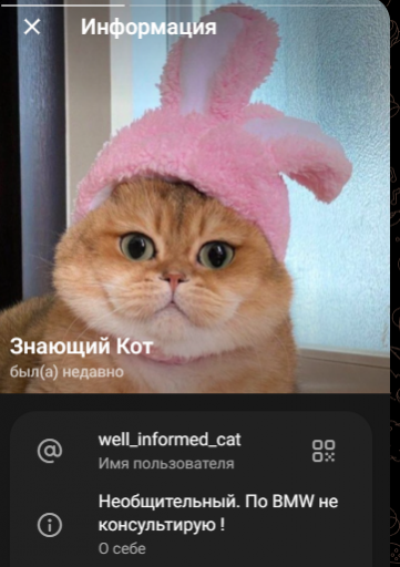 2026 06 03 18 01 55 png