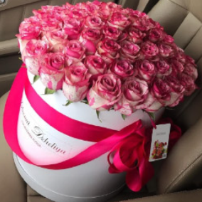 2026 04 08 11 36 18 png