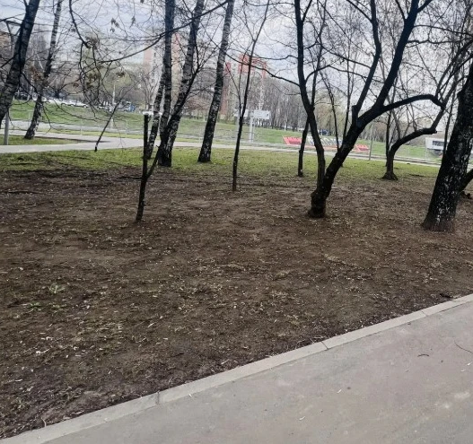 2026 04 17 09 54 18 png