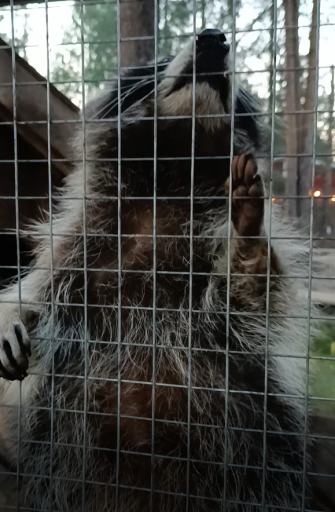 2026 03 22 00 00 36 png