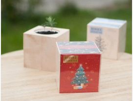 2026 02 23 11 37 22 png