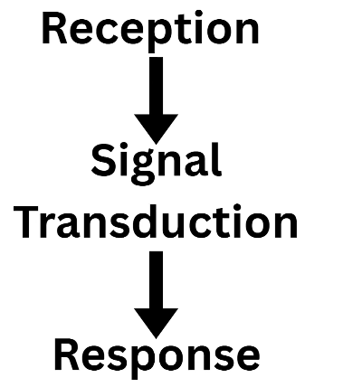 2026 04 26 19 05 30 png