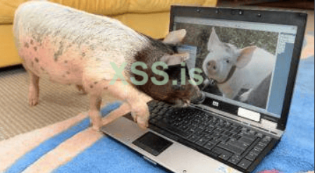 2025 11 19 14 52 png