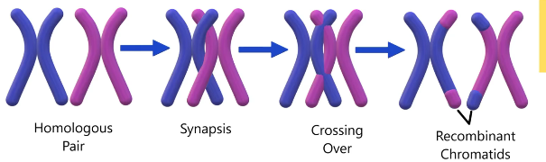 2026 04 27 19 42 12 png