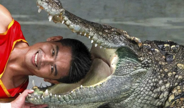 2025 11 15 21 38 55 png