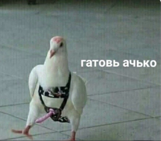 2025 09 05 15 32 58 png