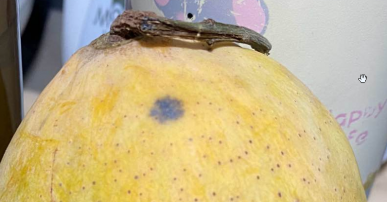 2026 03 17 17 43 10 png