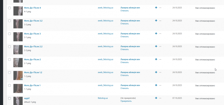 2025 11 20 14 03 51 png