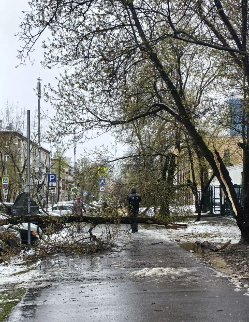 2026 04 30 14 20 07 png