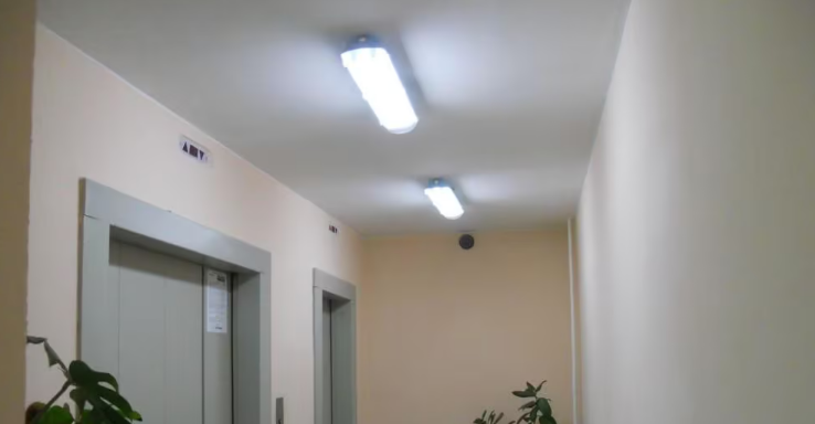 2025 11 24 13 40 43 png