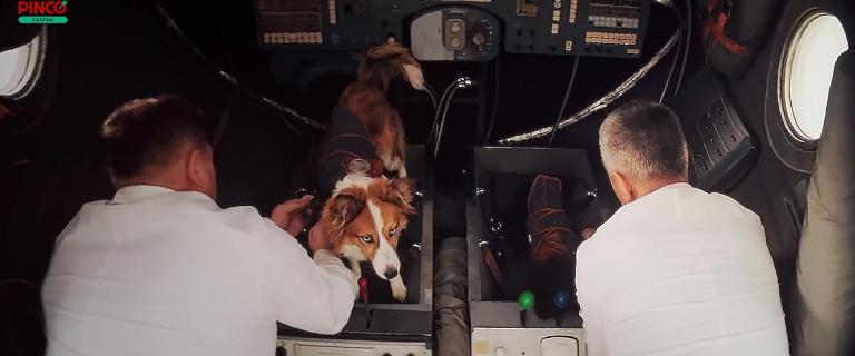 vlcsnap 2026 04 15 22h36m19s785 jpg