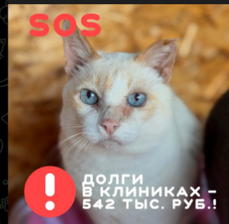 2025 09 29 18 56 50 png