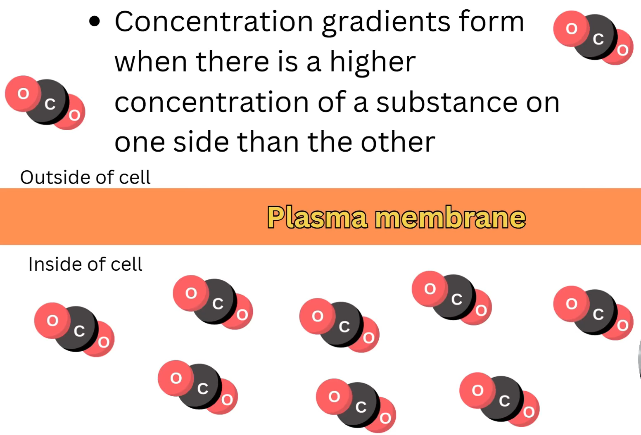 2026 04 24 23 20 35 png