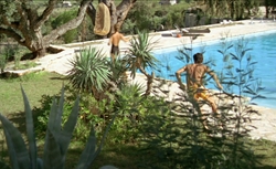 thumb e8f56f4138fa86b95c9a2fd5e00a0428 jpg