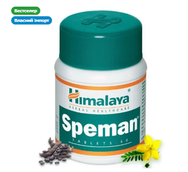 2026 04 11 17 40 52 png