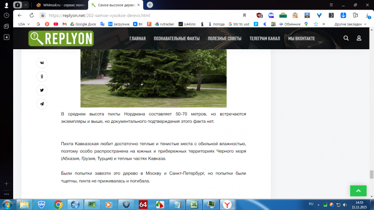 2025 11 11 14 55 52 png