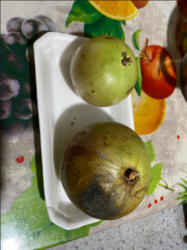 2025 11 24 13 44 23 png