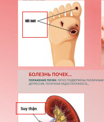 2026 02 11 09 42 21 png