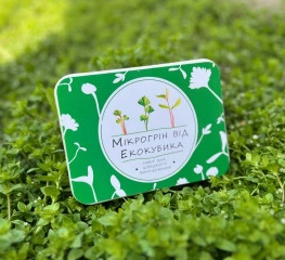 2026 02 24 11 34 05 png