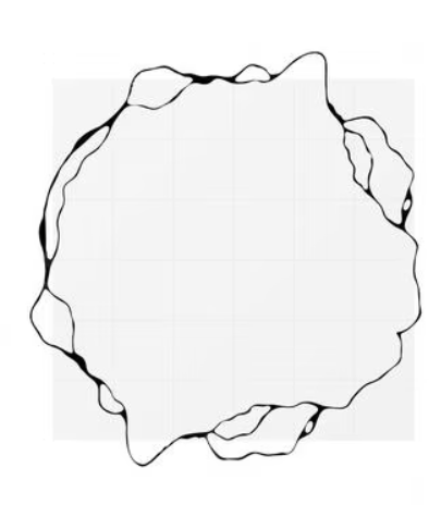 2026 03 04 13 50 13 png