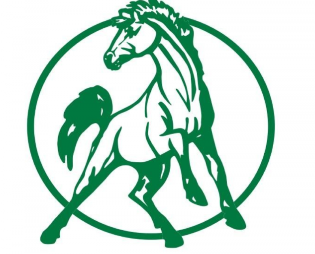 2025 05 20 05 04 07 png