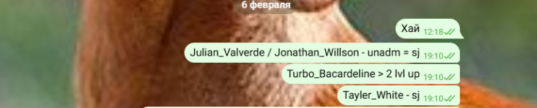 2026 02 25 21 29 35 png