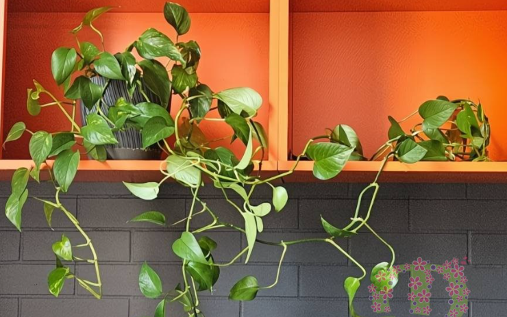 2025 12 03 18 37 57 png