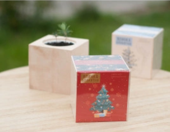 2026 02 21 15 24 56 png