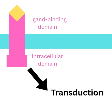 2026 04 26 19 09 06 png