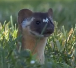 2025 12 16 20 51 29 png