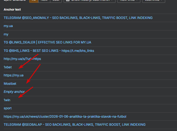 2026 02 19 20 19 45 png