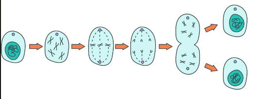 2026 04 26 20 20 57 png