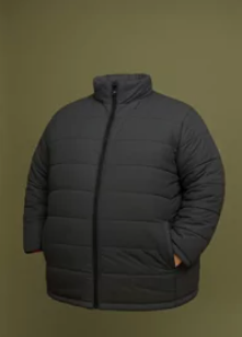 2025 11 18 18 33 05 png