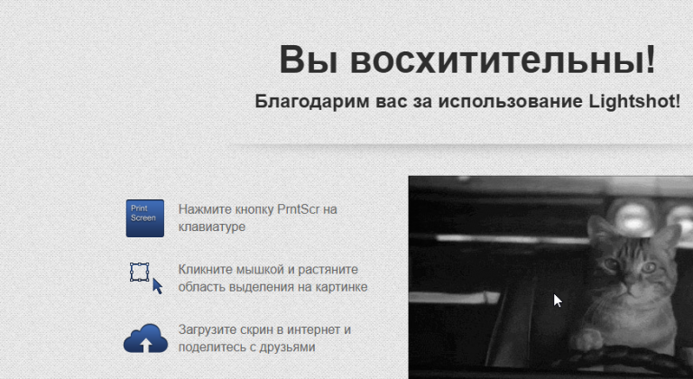 2026 04 15 13 42 15 png