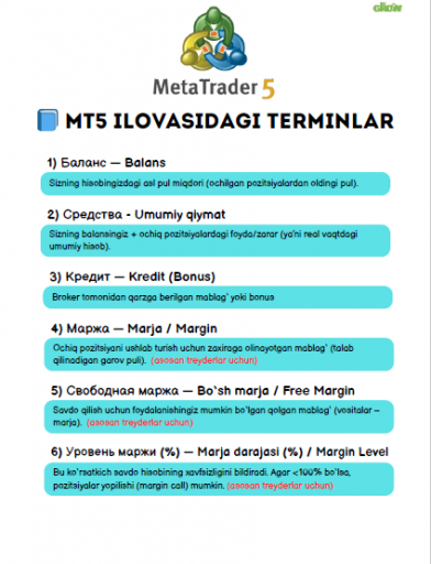 2026 02 13 23 34 10 png