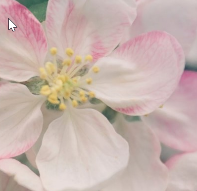 2026 03 13 12 52 20 png