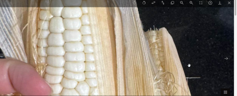 2026 04 16 20 11 04 png